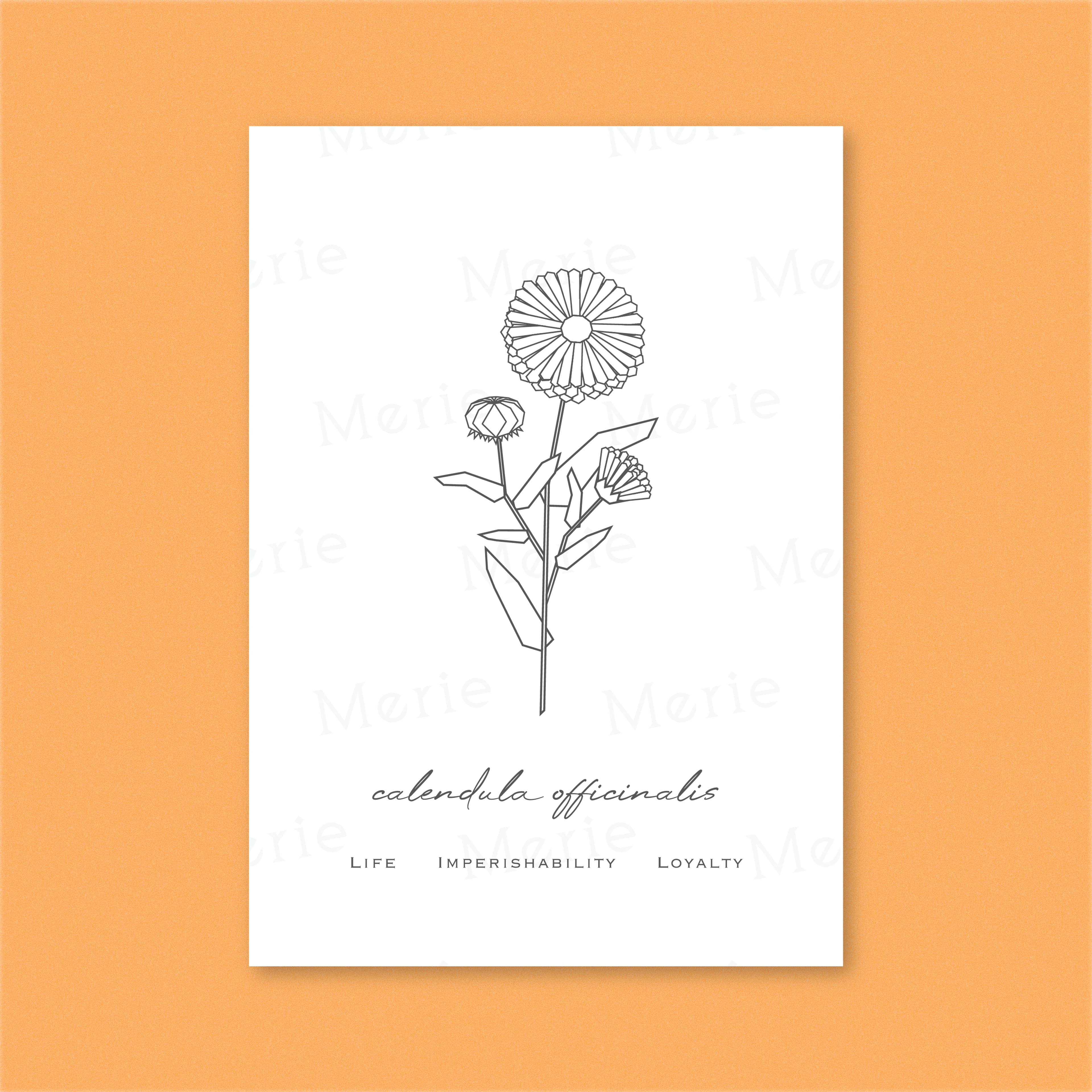 Poster mit Callendula Officinalis-Motiv