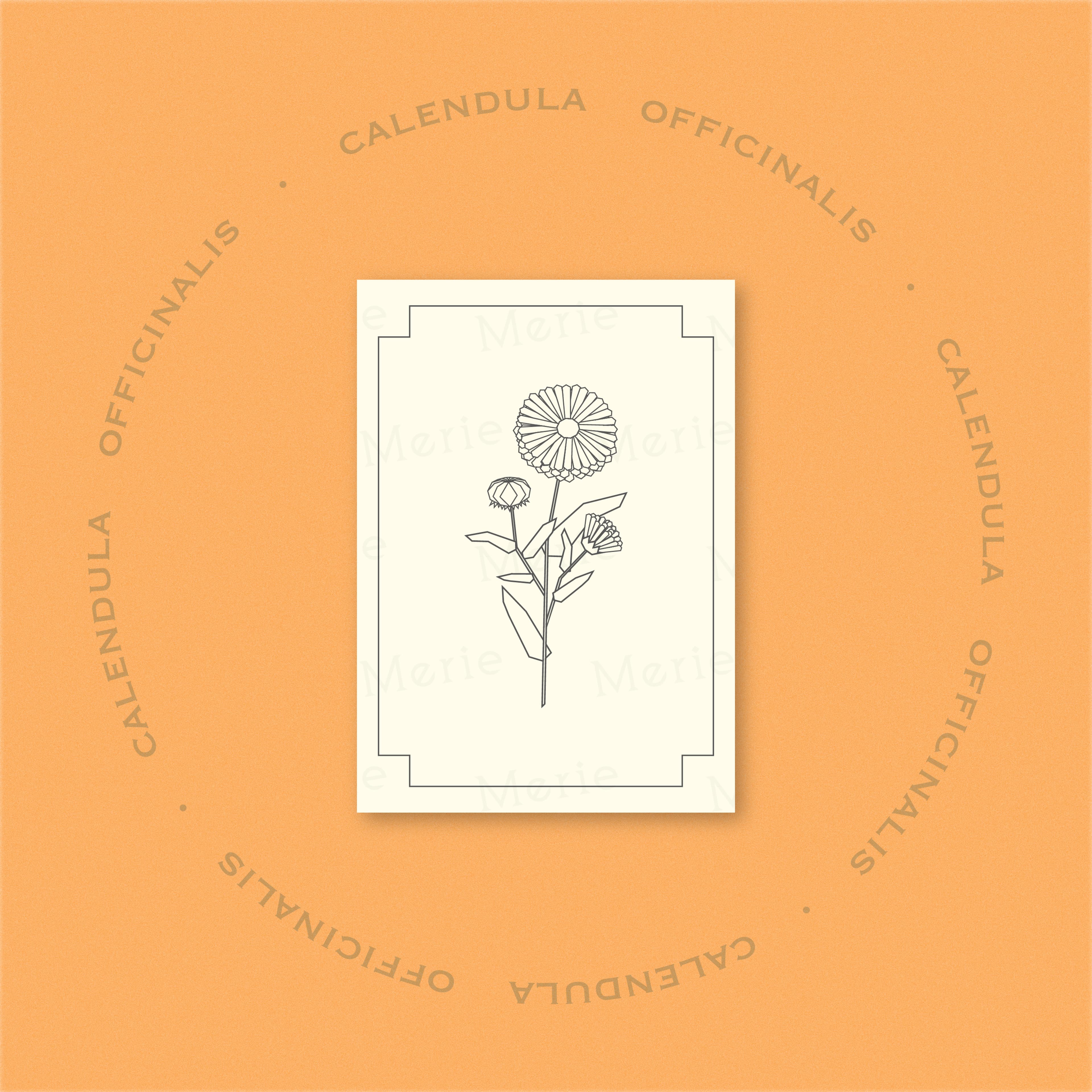 Postkarte mit Callendula Officinalis-Motiv