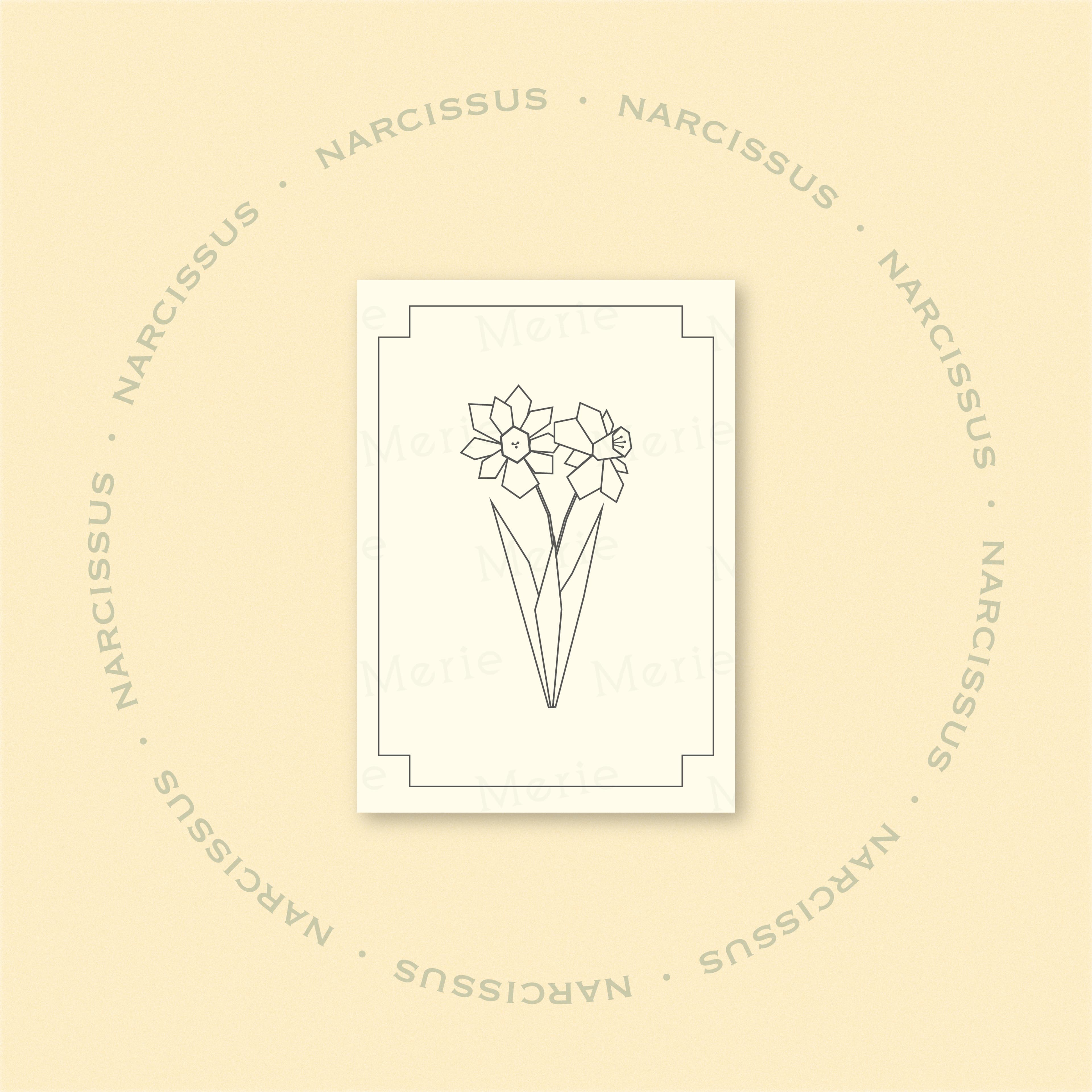 Postkarte mit Narcissus-Motiv