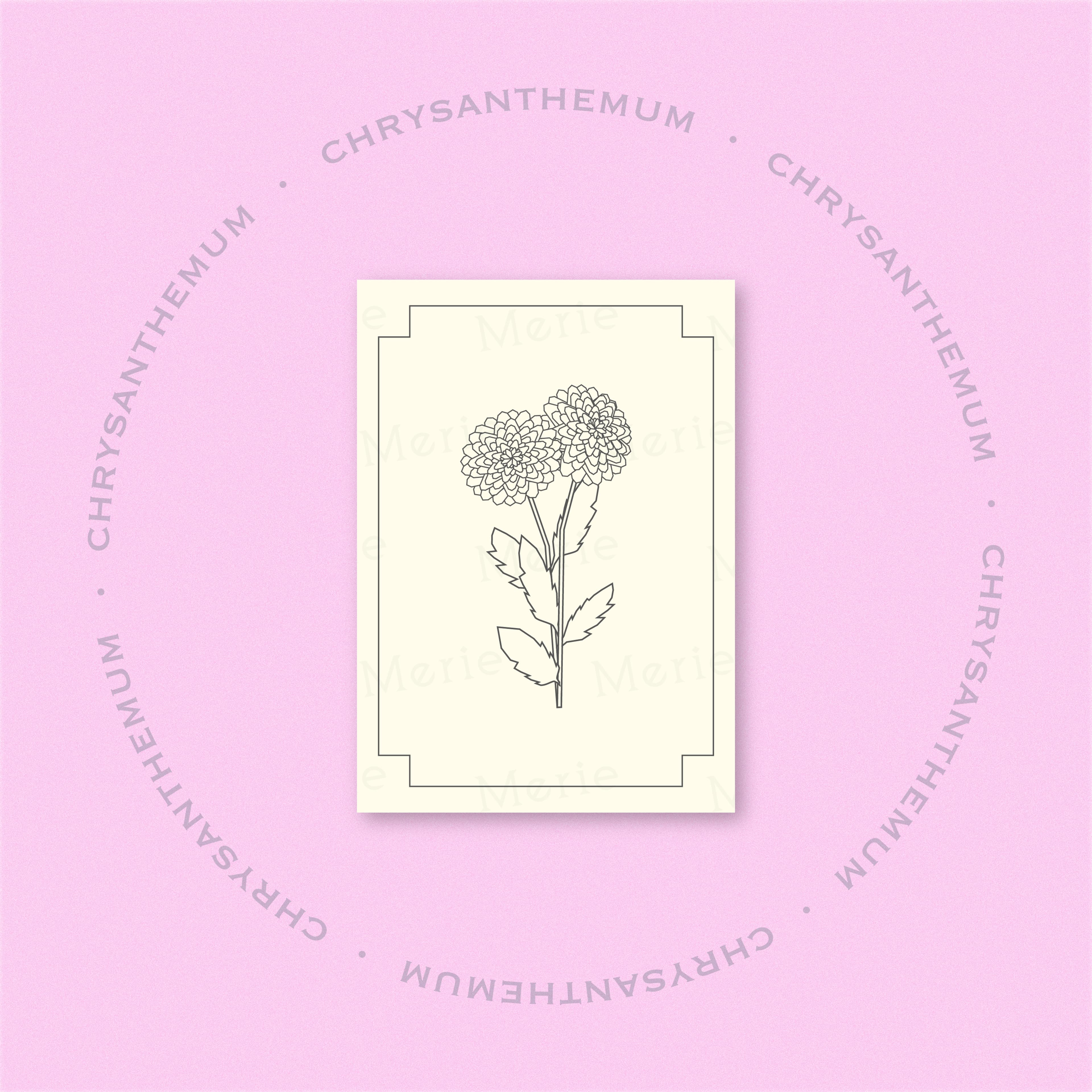 Postkarte mit Chrysanthemum-Motiv