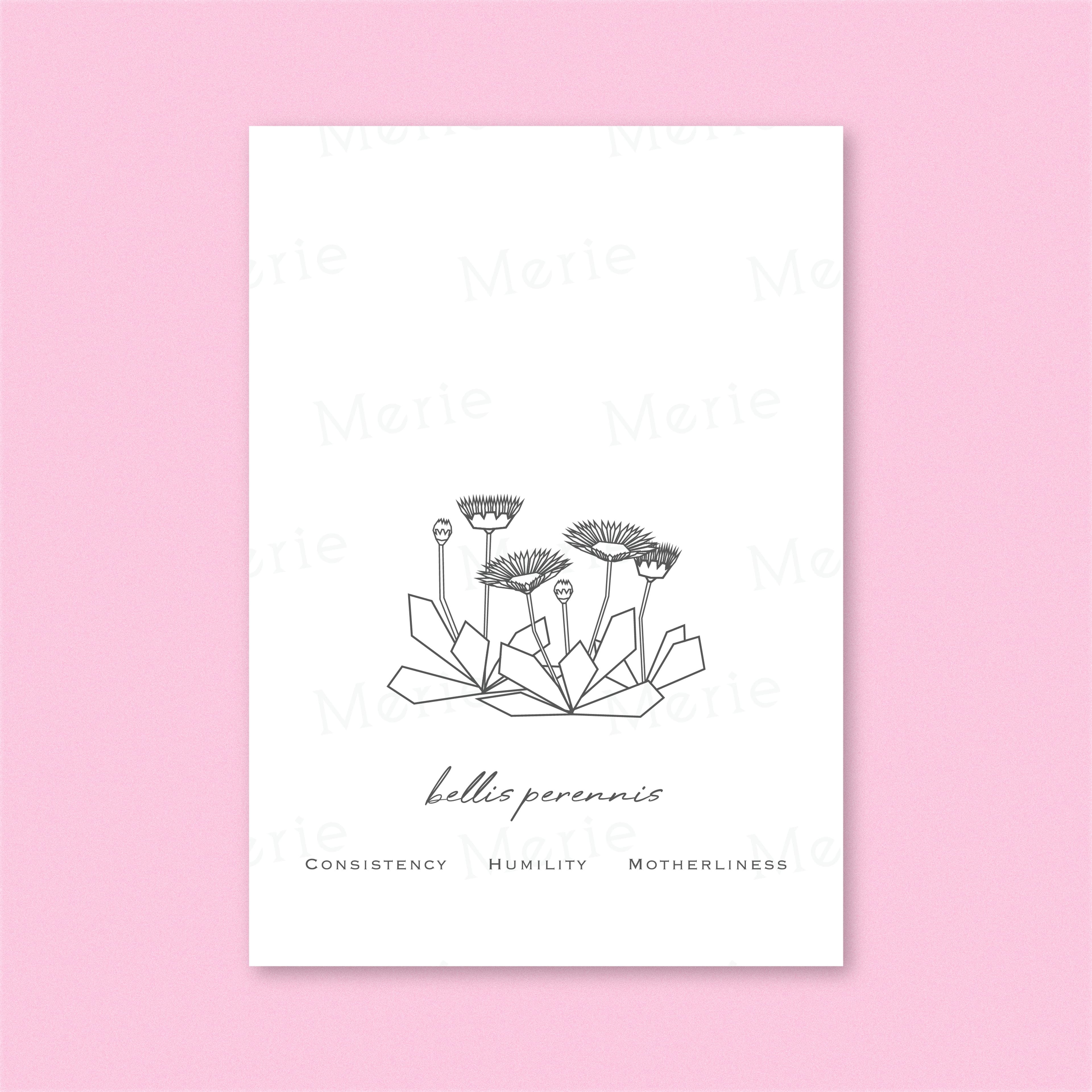 Poster mit Bellis Perenis-Motiv