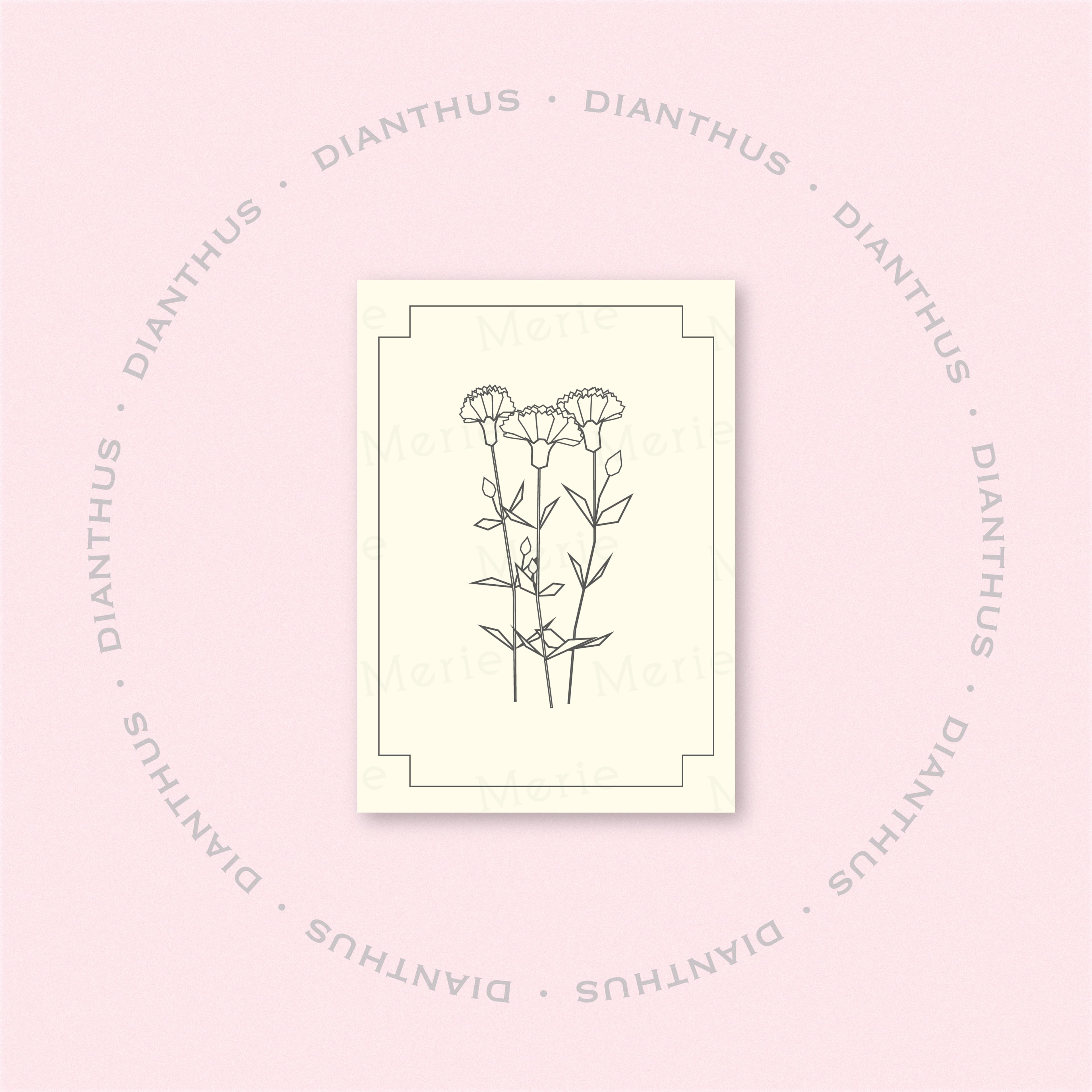 Postkarte mit Dianthus-Motiv